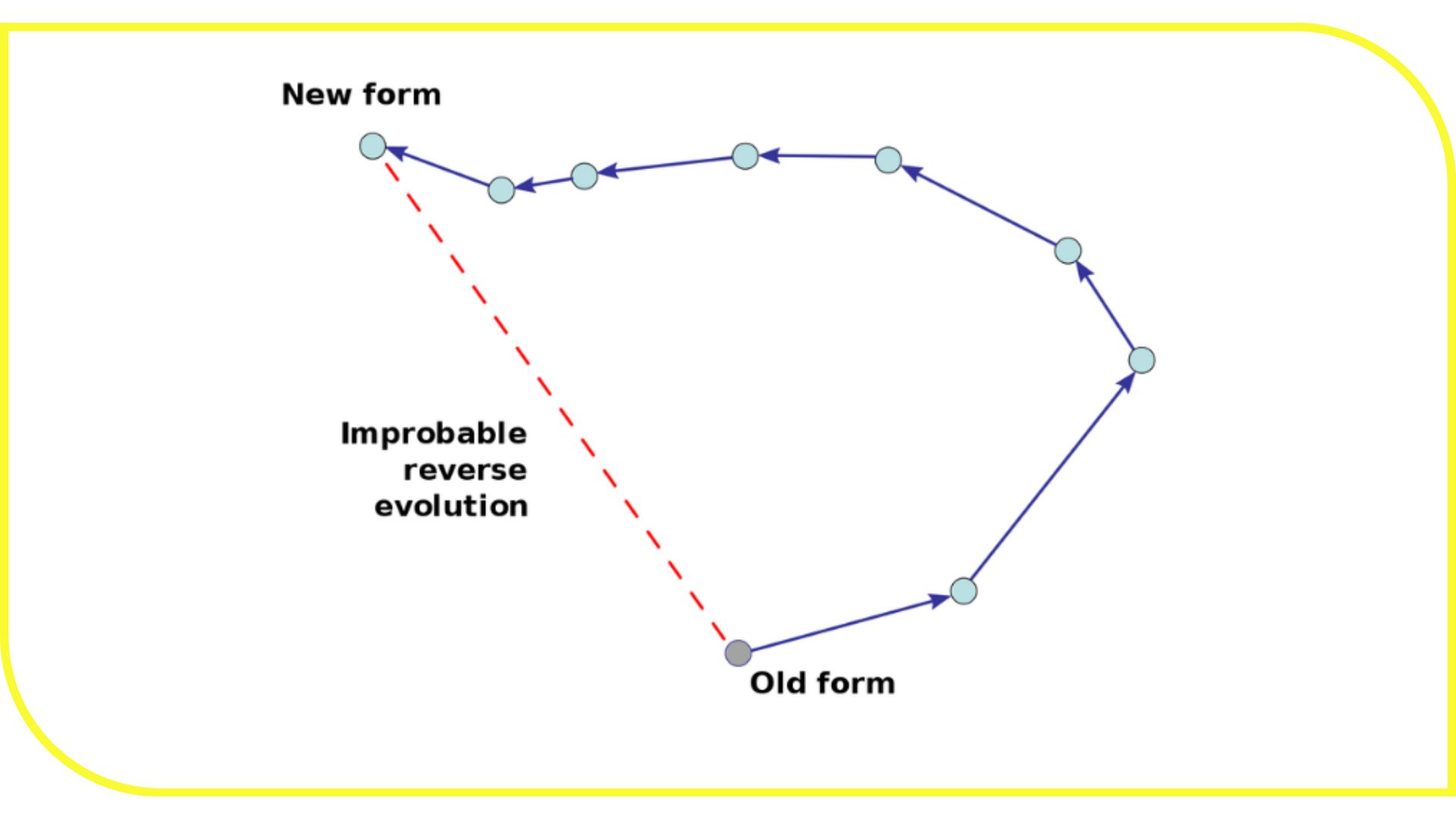 Conceptos básicos sobre bilogía evolutiva 2: involución